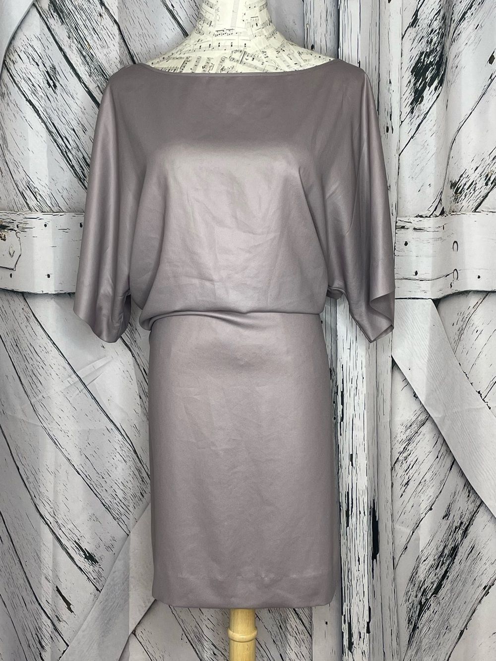 Elizabeth and James Dress Draped Back Size M
